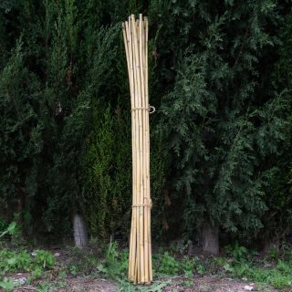 30 cañas Decorativas (Similar a Las Varillas de bambú) 120 cm, 10-15 mm de Grosor. 100% ecológicas. Para decoración, huertos, jarrones - Imagen 3