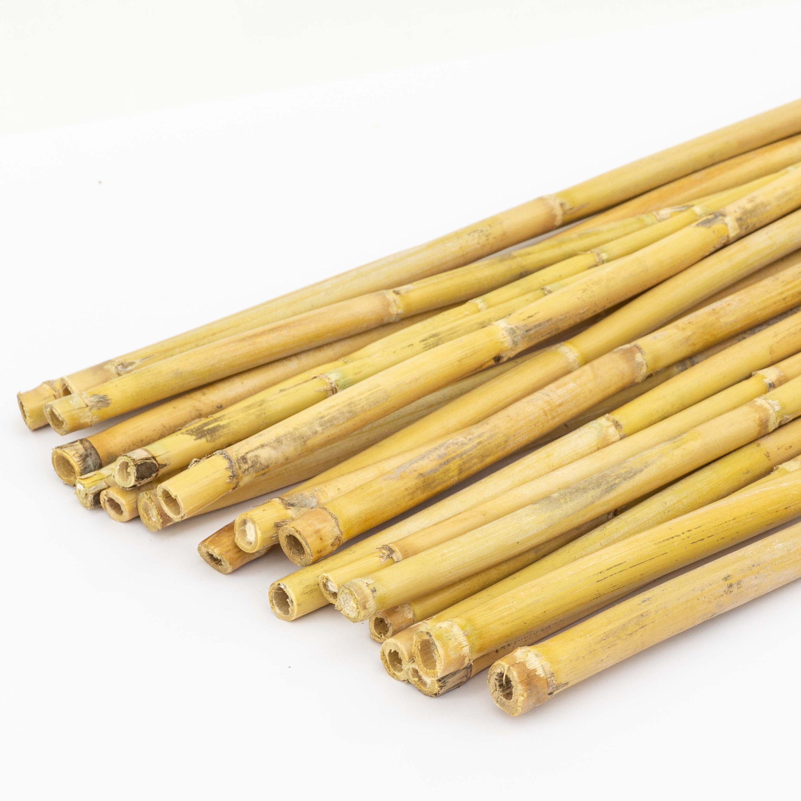 30 cañas Decorativas (Similar a Las Varillas de bambú) 120 cm, 10-15 mm de Grosor. 100% ecológicas. Para decoración, huertos, jarrones